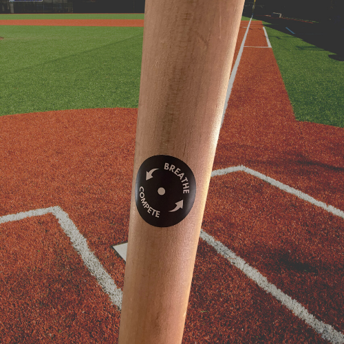 Game Ready - Bat Knob Stickers